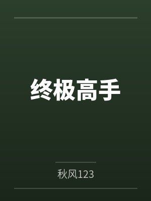 终极高手